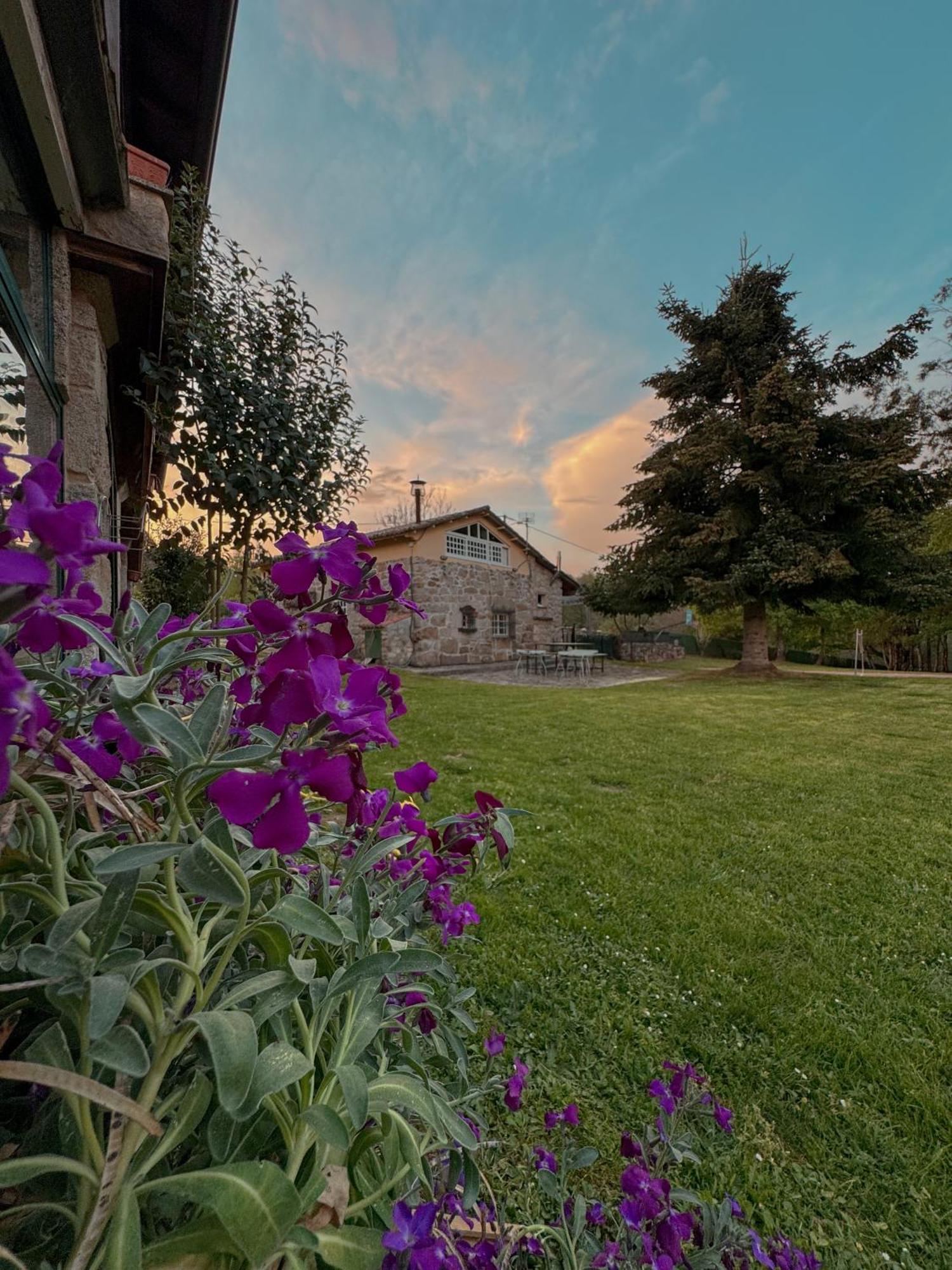 Aldea Figueiredo Guest House Ourense Luaran gambar